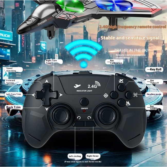 2.4GHz RC EVA Fighter Jet Model